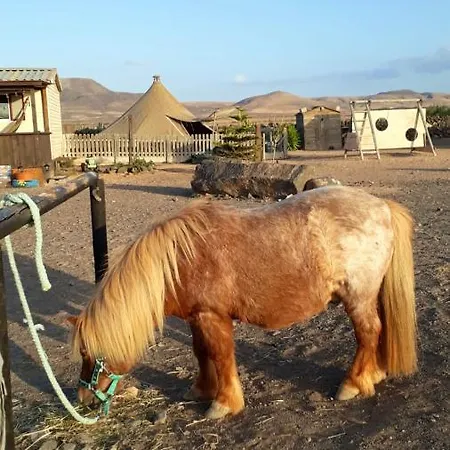 2 Bedrooms House With Sea View And Wifi At El 1 Km Away From The * Cotillo