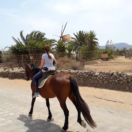 Casa vacanze 2 Bedrooms House With Sea View And Wifi At El 1 Km Away From The