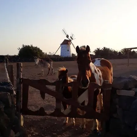 2 Bedrooms House With Sea View And Wifi At El 1 Km Away From The * Cotillo